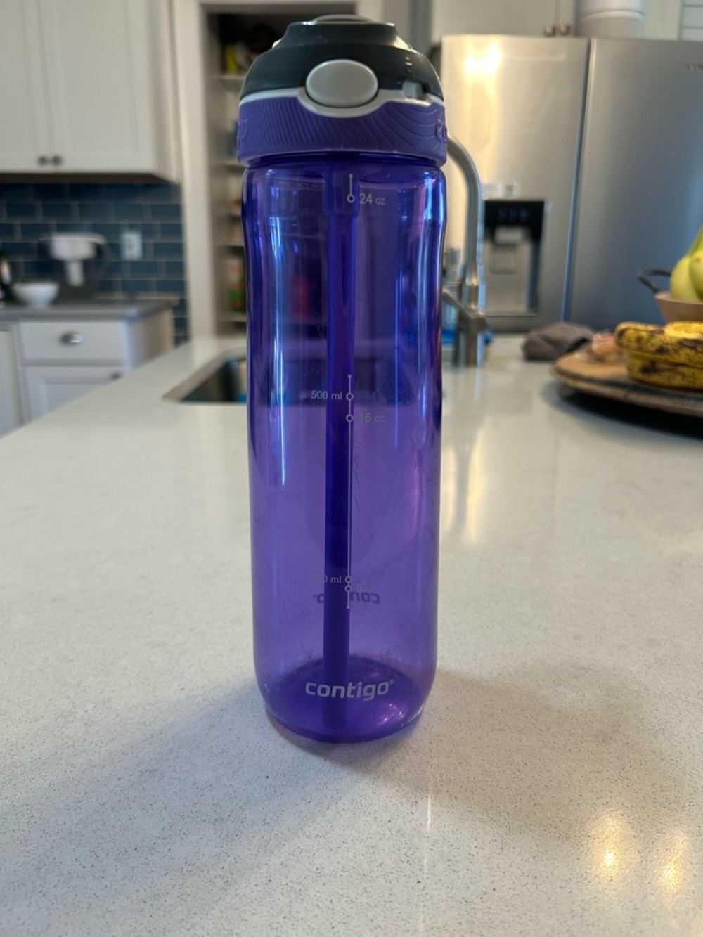 Contigo Purple Translucent Straw Water Bottle with Carry Lid